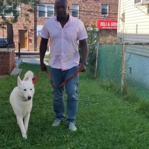 Meet your Posher, Dennis